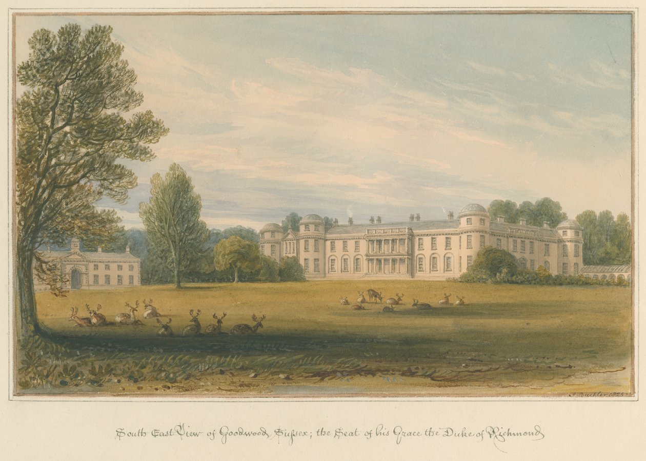 Sussex - Goodwood, 1825 de John Buckler