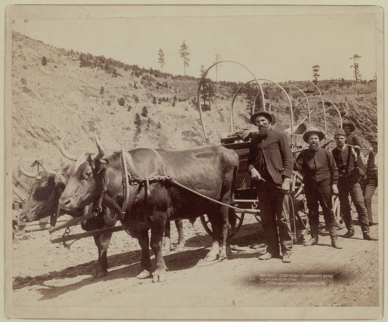  de John C. H. Grabill