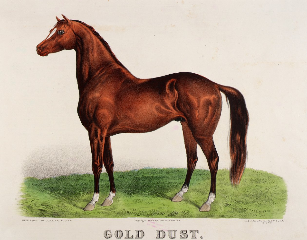 Pó de Ouro de John Cameron