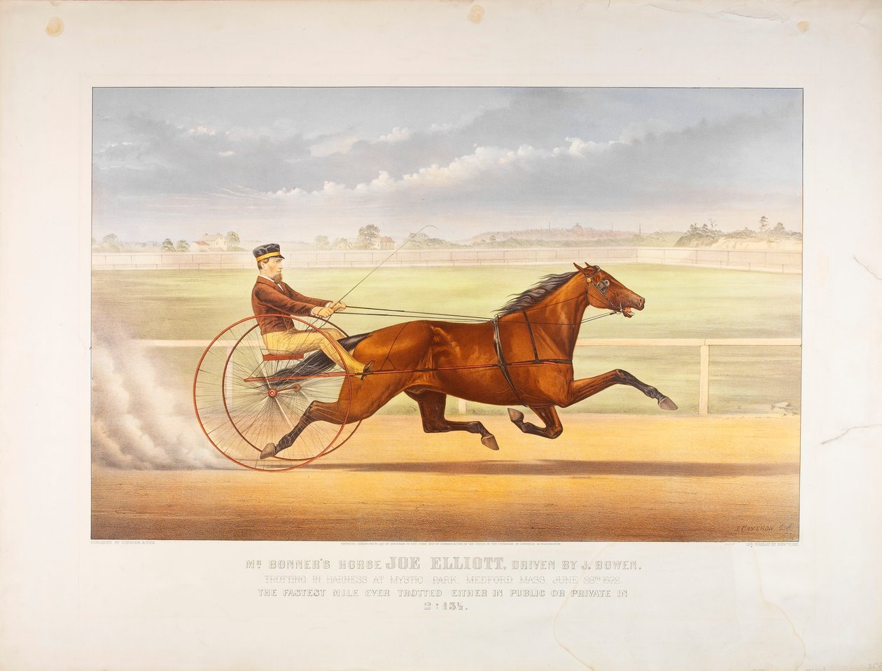 Cavalo do Sr. Bonner Joe Elliott de John Cameron