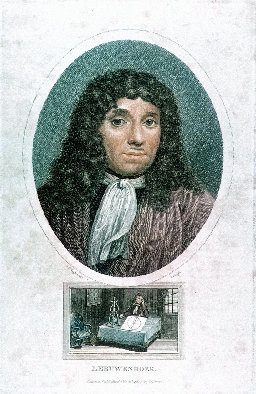 Anton van Leeuwenhoek 1632-1723, microscopista holandês, c1810 de John Chapman