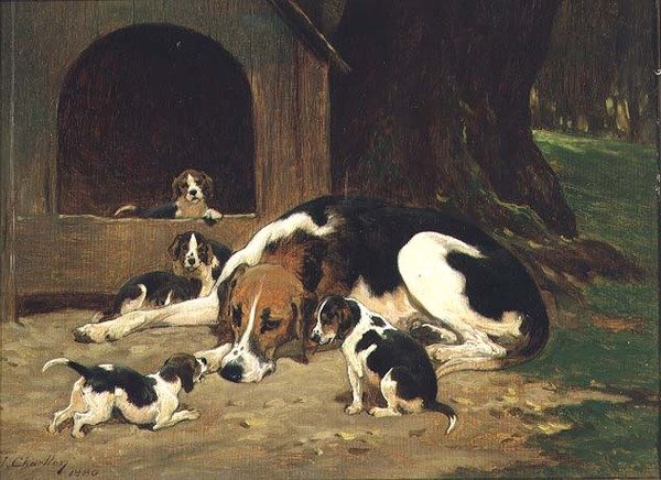 Uma cadela Foxhound com a sua ninhada de John Charlton