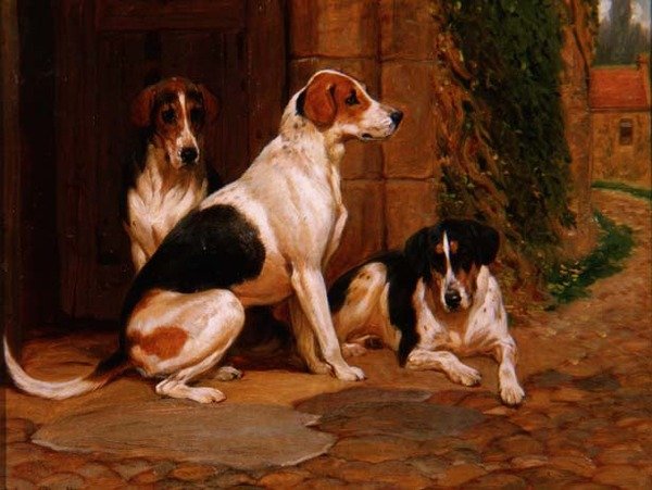 Foxhounds de John Charlton