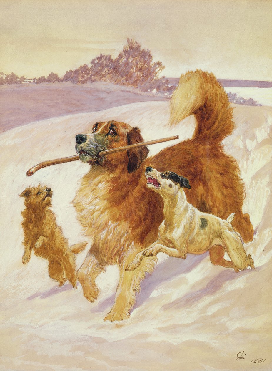 Três cachorros brincando na neve, 1881 de John Charlton