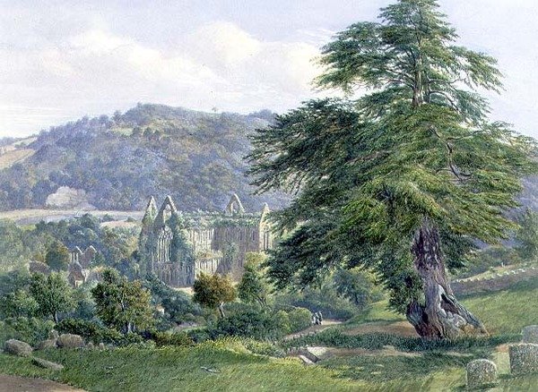 Abadia de Tinternas com o Tintureiro do Além (aguarela) de John Chase