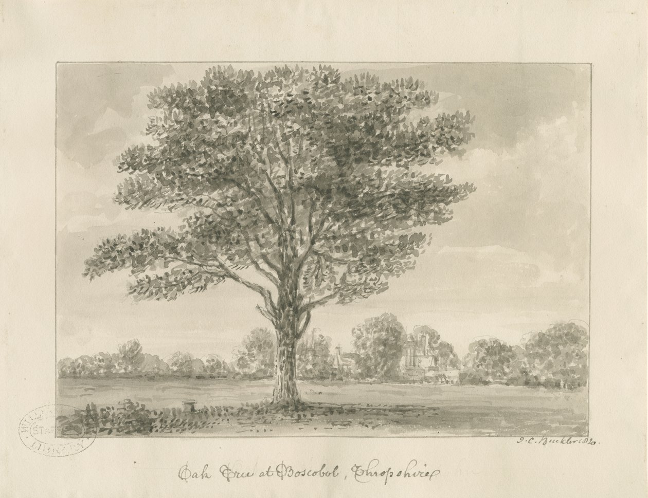 Boscobel - The Royal Oak: desenho sépia, 1820 de John Chessell Buckler