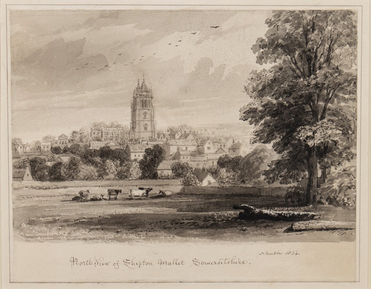 Vista noroeste de Shepton Mallet, Somersetshire, 1834 (caneta, pincel e tinta no papel) de John Chessell Buckler