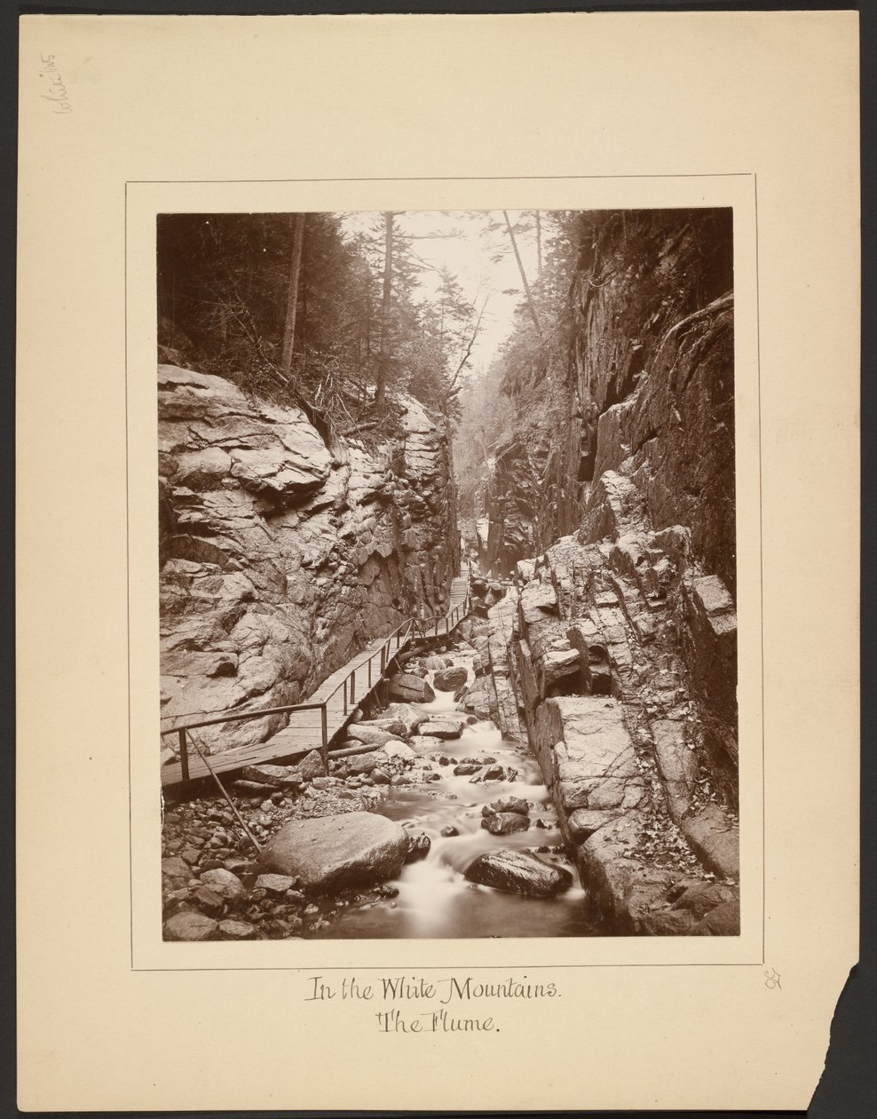 Nas Montanhas Brancas/The Flume de John Coates Browne