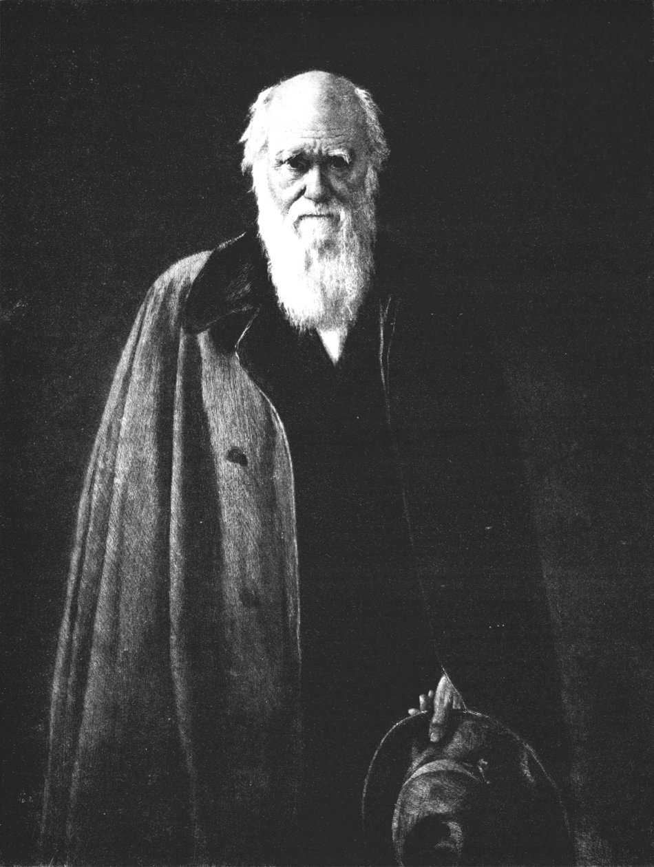 Charles Darwin 1809-1882, 1883, 1912 de John Collier
