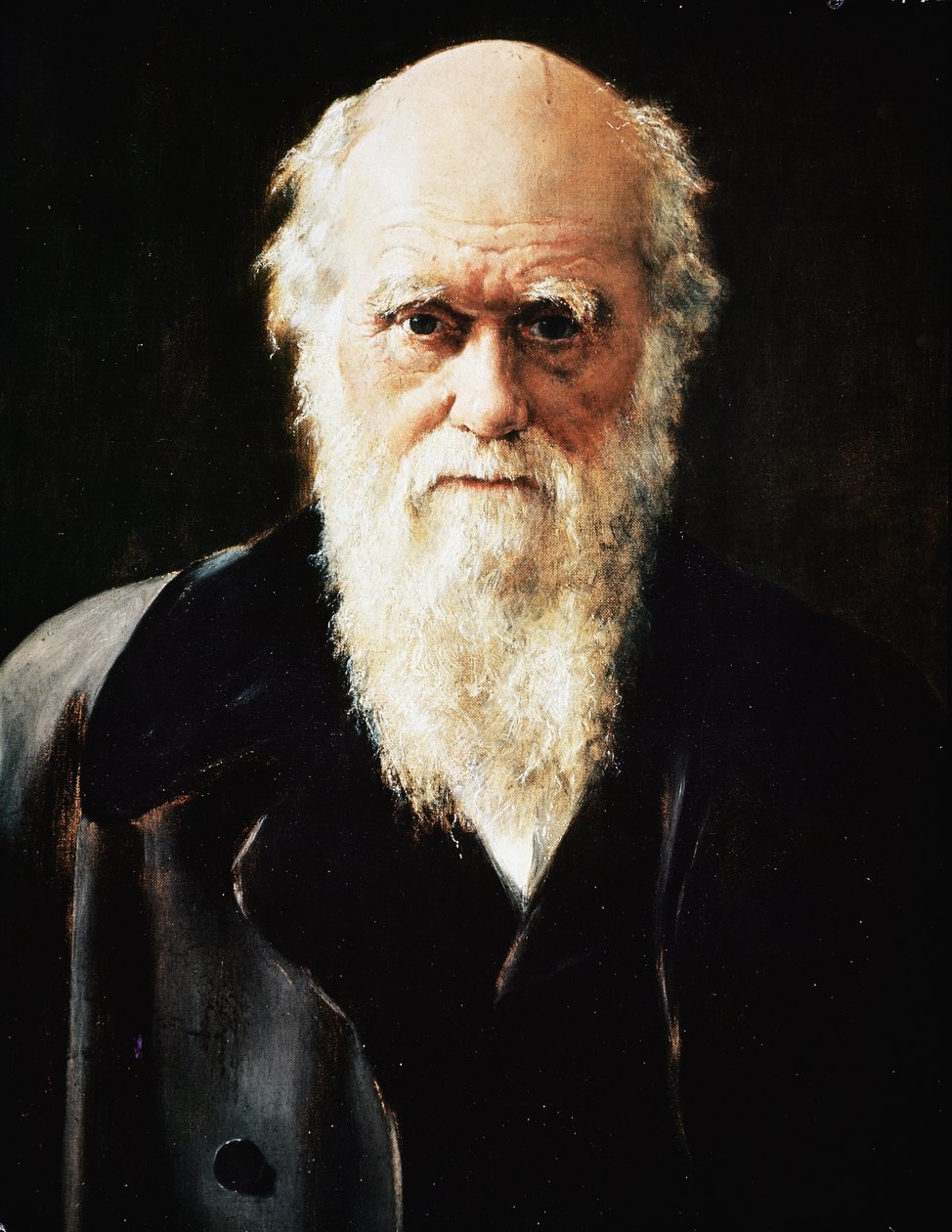 Retrato do naturalista inglês Charles Darwin, detalhe (óleo sobre tela de John Collier