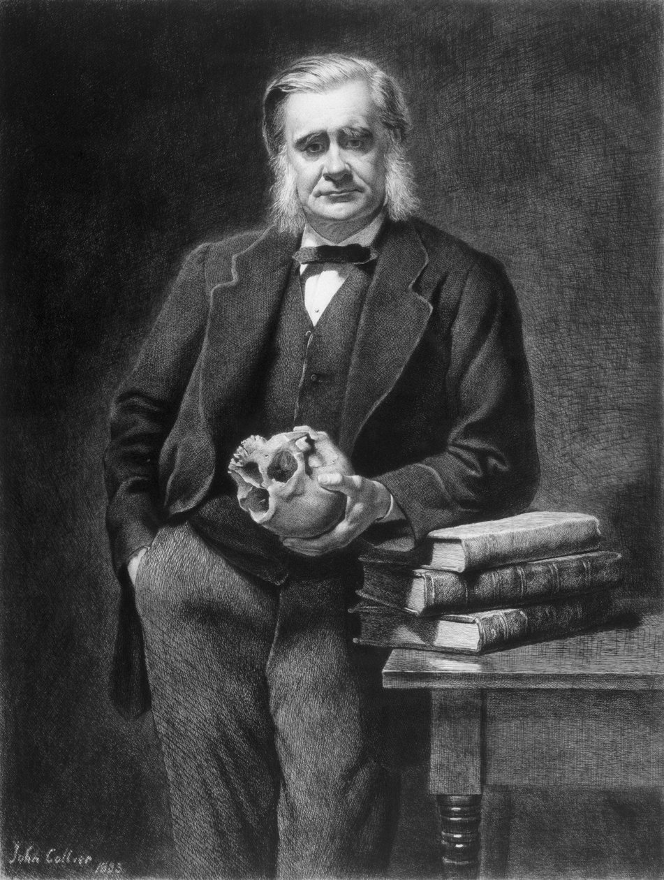 Thomas Henry Huxley (1825-95), gravado por Leopold Flameng (1831-1911) 1885 de John Collier
