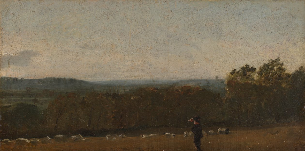 Um Pastor numa Paisagem olhando através de Dedham Vale em direcção a Langham de John Constable