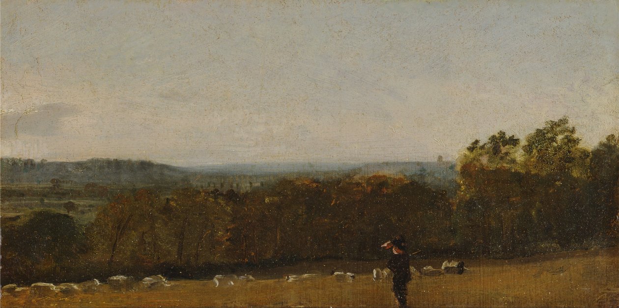 Um pastor numa paisagem, olhando através de Dedham Vale em direção a Langham de John Constable
