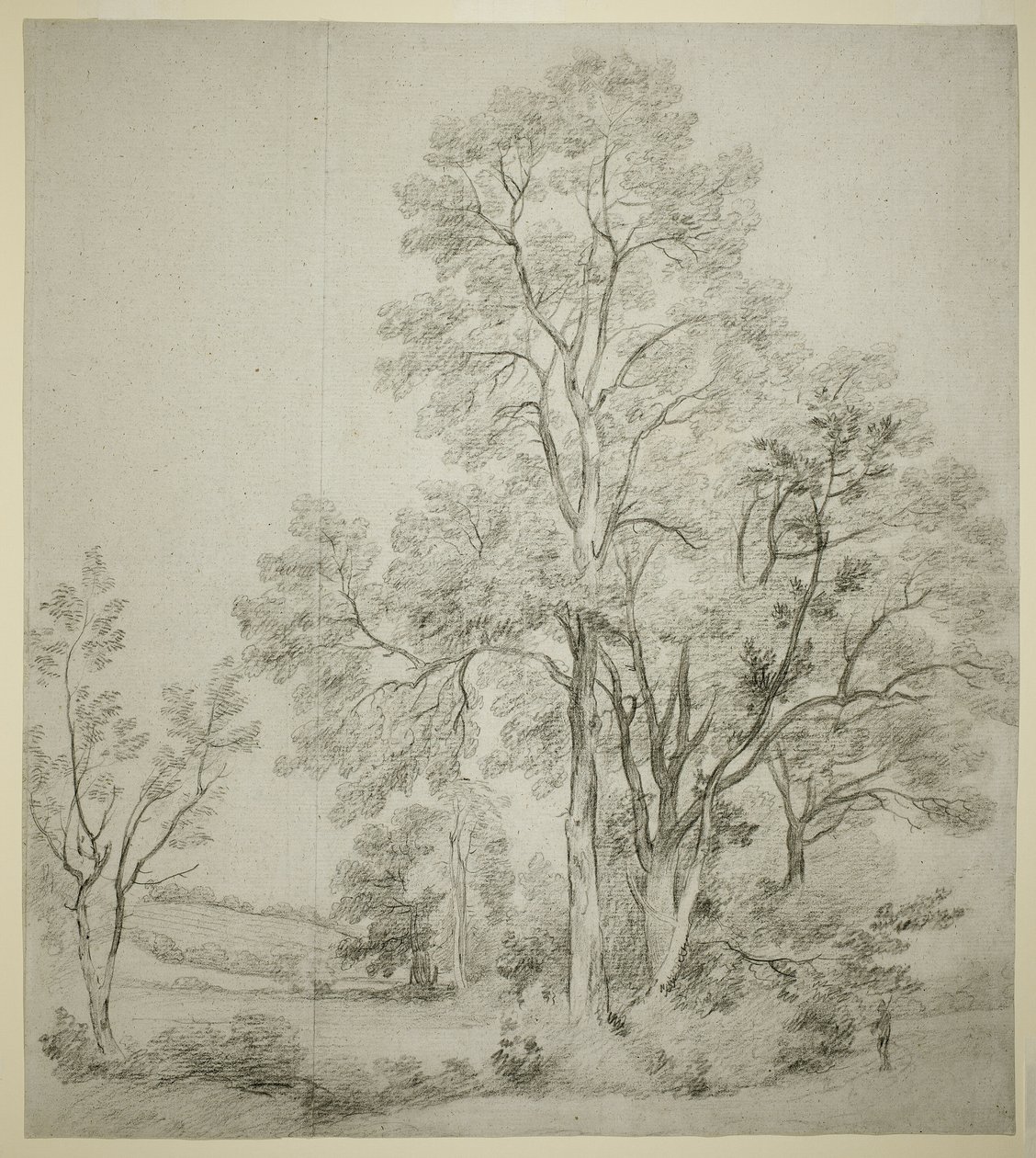 Uma Bancada de Olmos (reto); Um Estudo de East Bergholt com a Igreja (verso) de John Constable