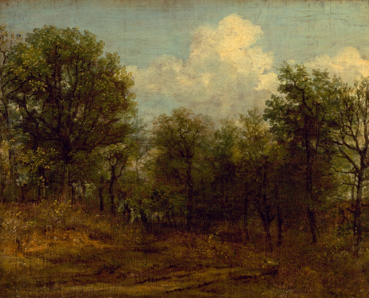 Uma madeira (pintura a óleo) de John Constable