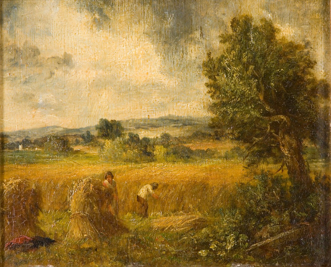 "Um campo de milho", 1796-1837 de John Constable