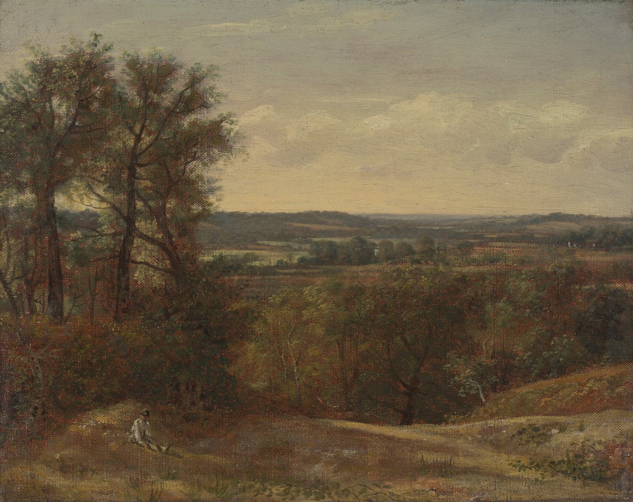 Dedham Vale de John Constable