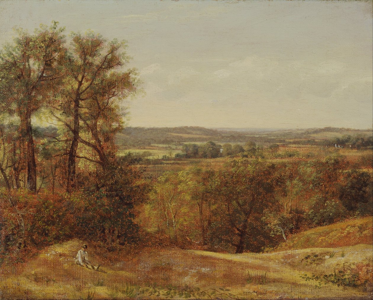 Dedham Vale de John Constable
