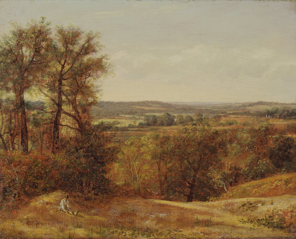 Dedham Vale, 1802. de John Constable