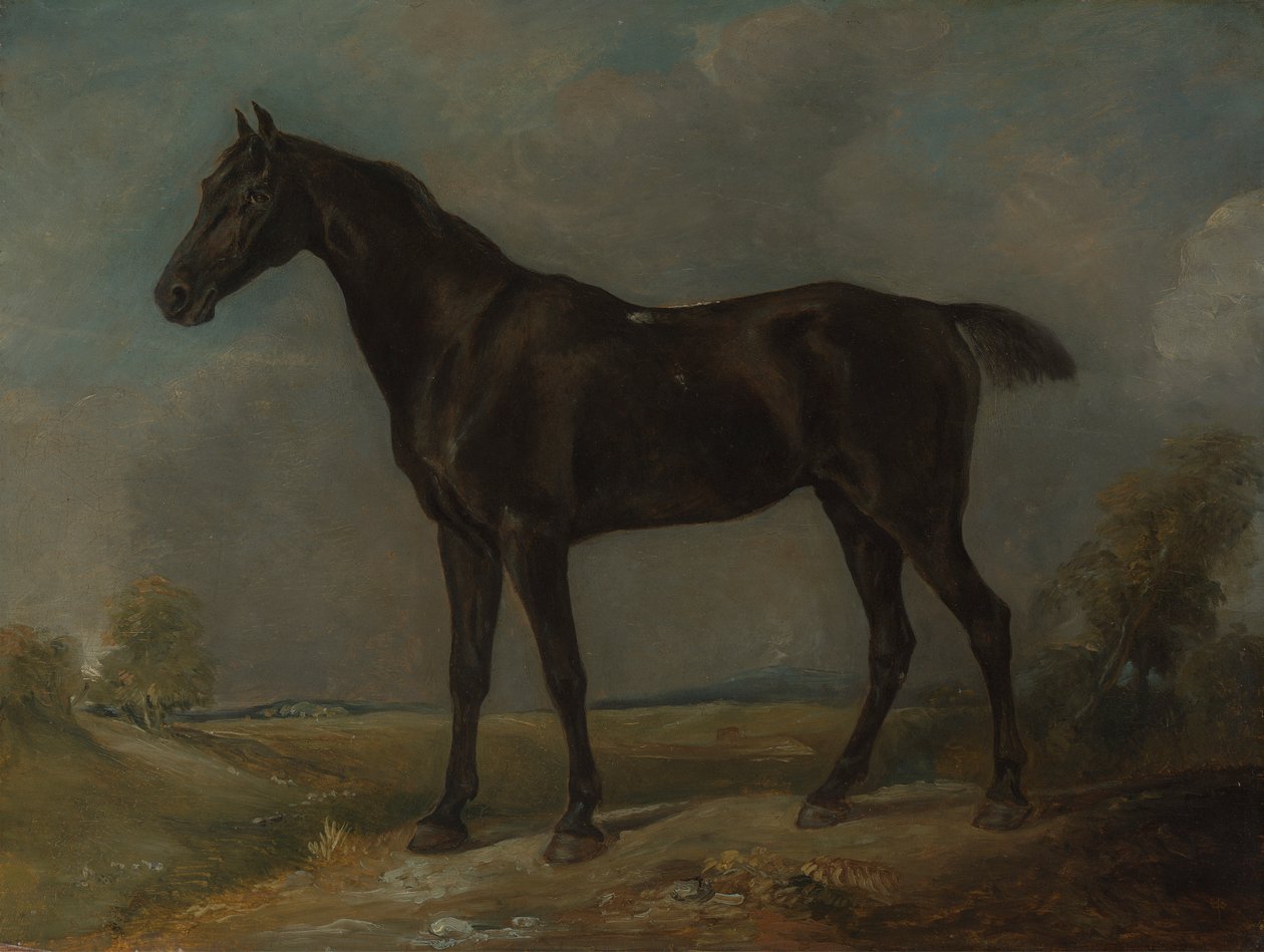 Cavalo Negro do Constable de Golding de John Constable
