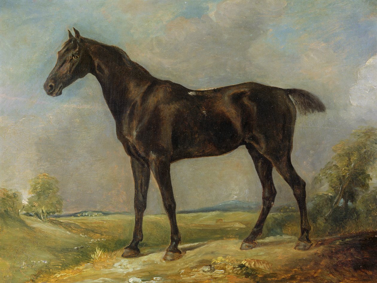 Cavalo-equitação preto de Golding Constable, c.1805-10 de John Constable