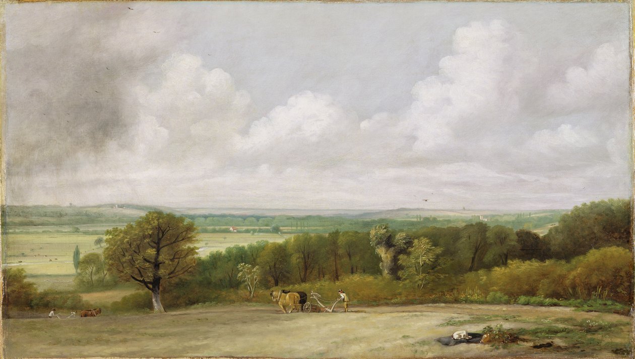 Paisagem: cena de aragem em Suffolk (A Summerland) c.1824 (óleo sobre tela) de John Constable