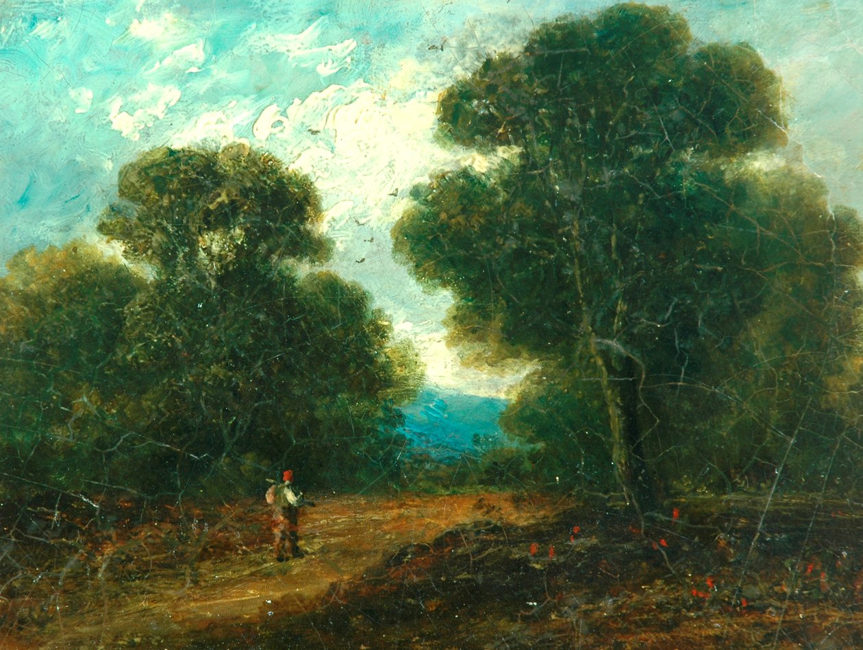Paisagem, perto, norwich de John Constable