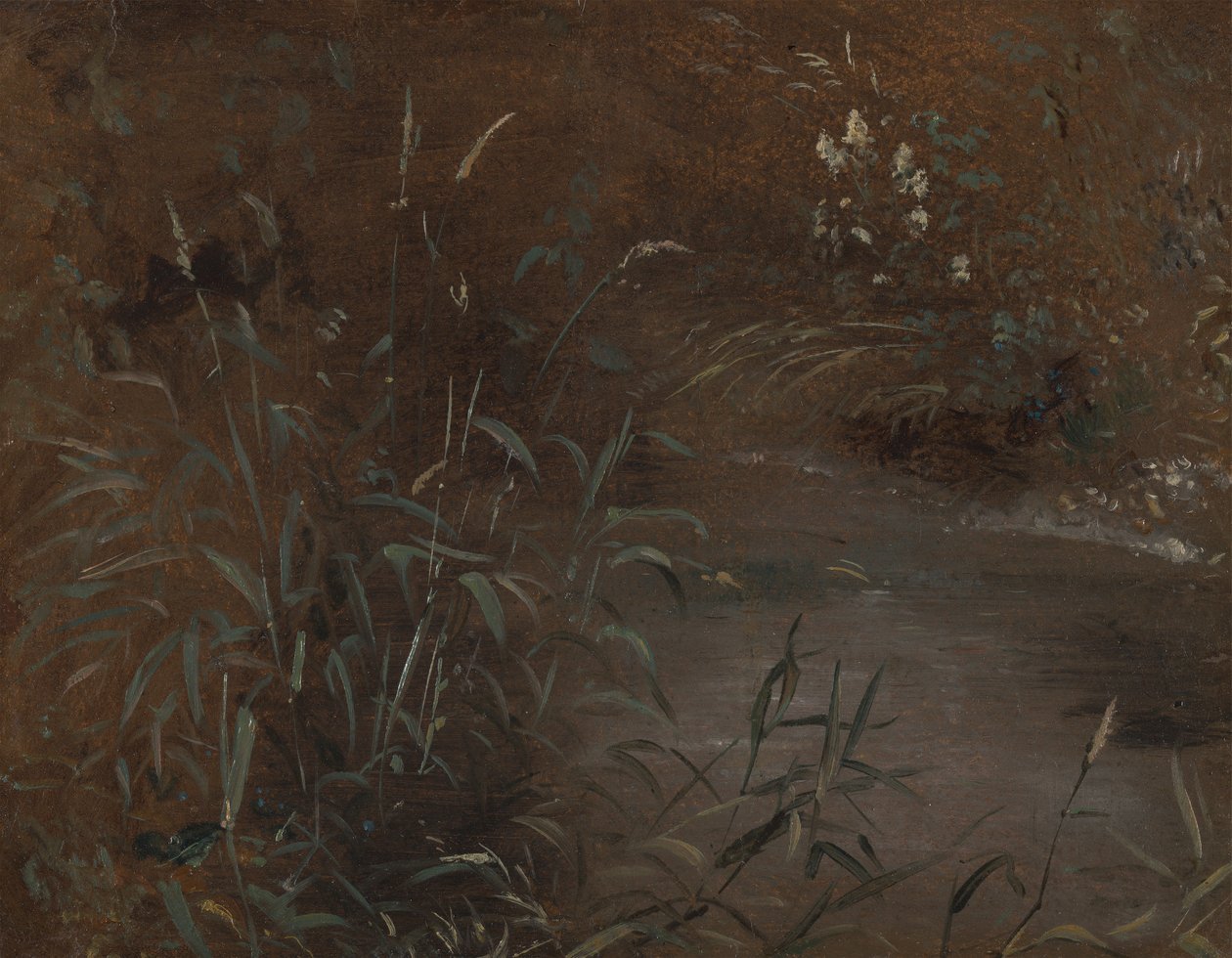 Rush por uma piscina de John Constable