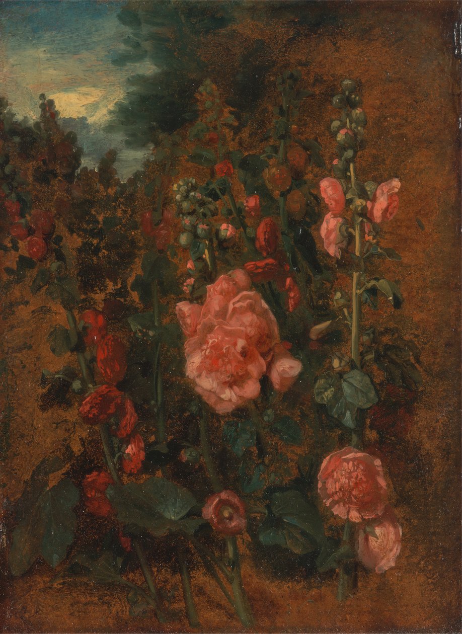 Estudo de Hollyhocks, ca. 1826. de John Constable