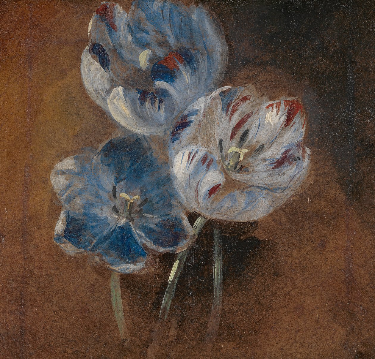 Estudo de Três Tulipas de Papagaio de John Constable
