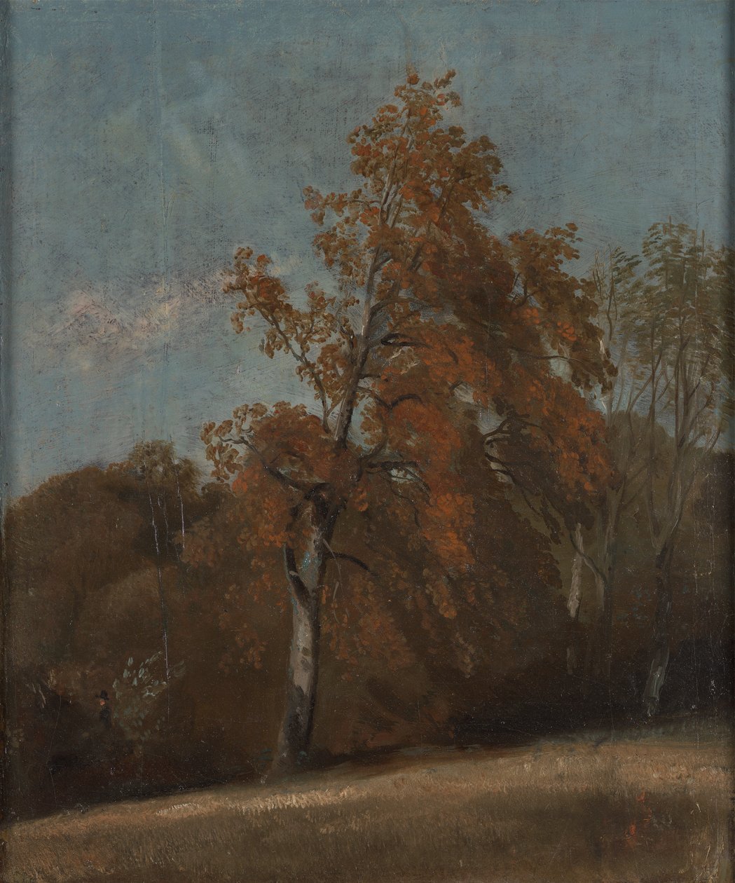 Estudo de uma árvore de cinzas de John Constable
