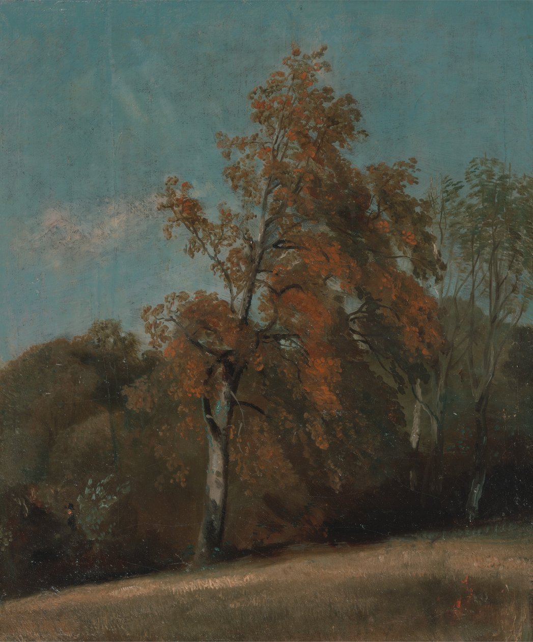 Estudo de uma Ash Tree, entre 1801 e 1803 ou entre 1810 e 1830. de John Constable