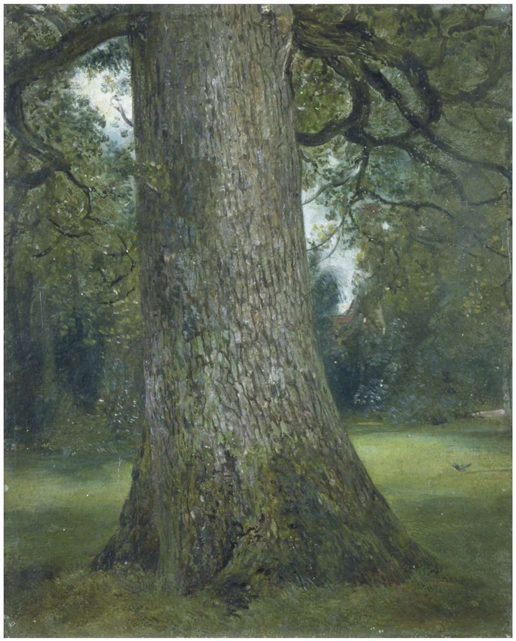 Estudo do tronco de um olmo, c. 1824 de John Constable