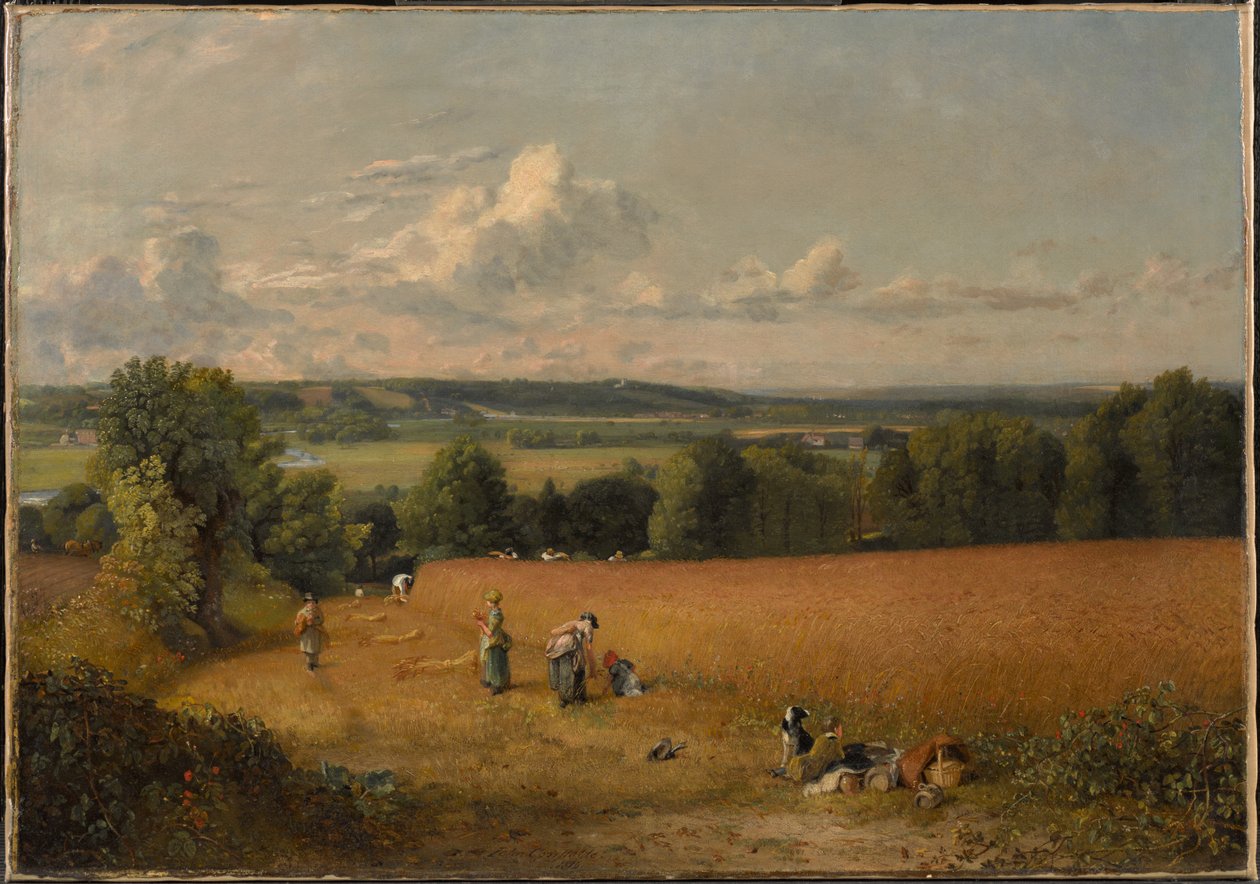 O campo de trigo de John Constable