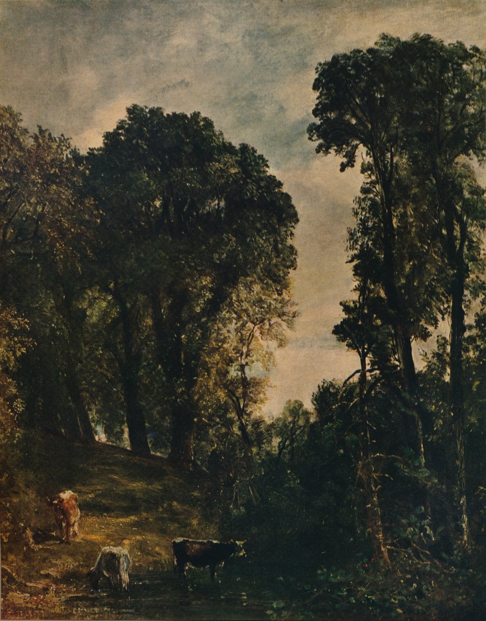 Árvores perto de Hampstead Church, 1829, c1915 de John Constable