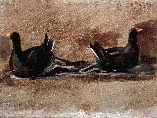 Dois Moorhens sobre a Água (óleo a bordo) de John Constable
