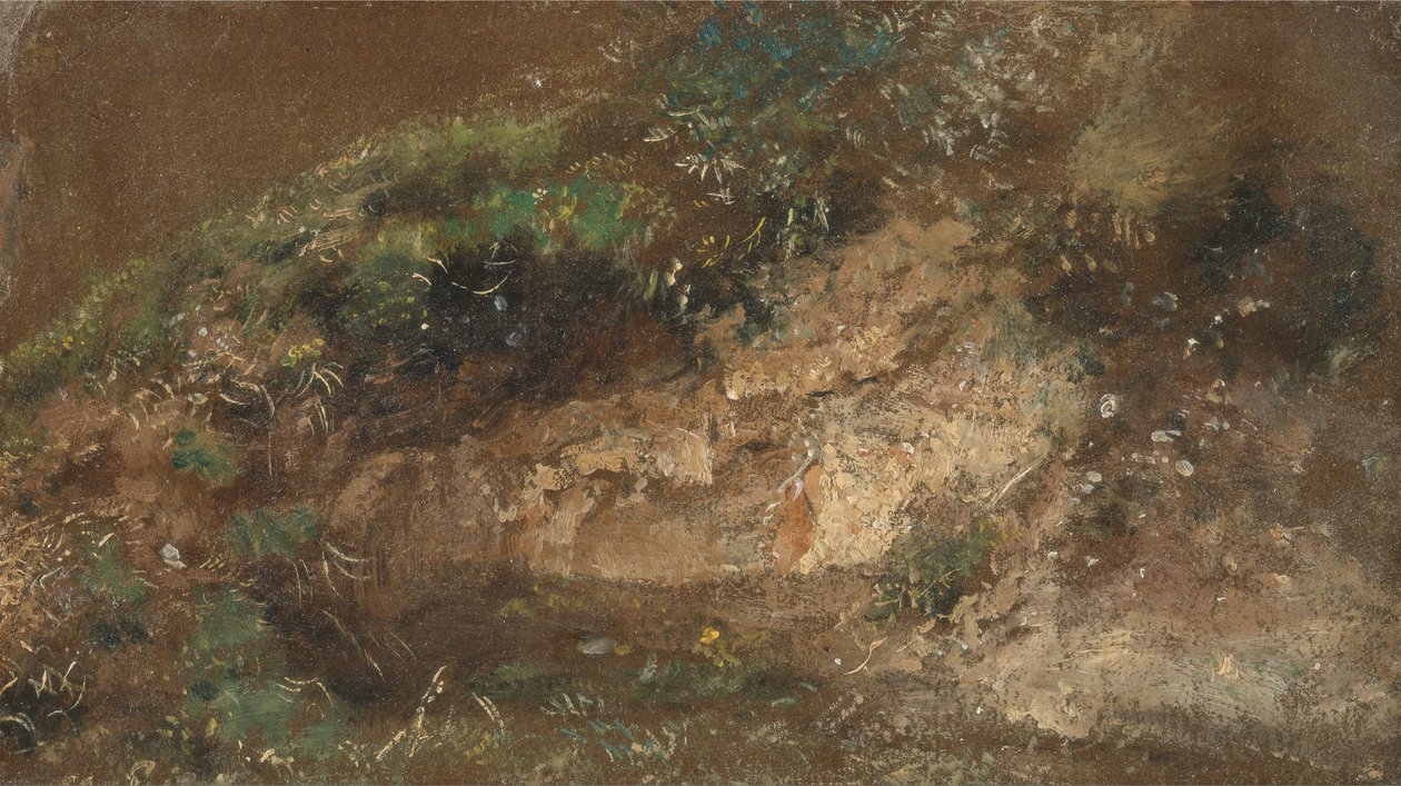 Vegetação rasteira de John Constable