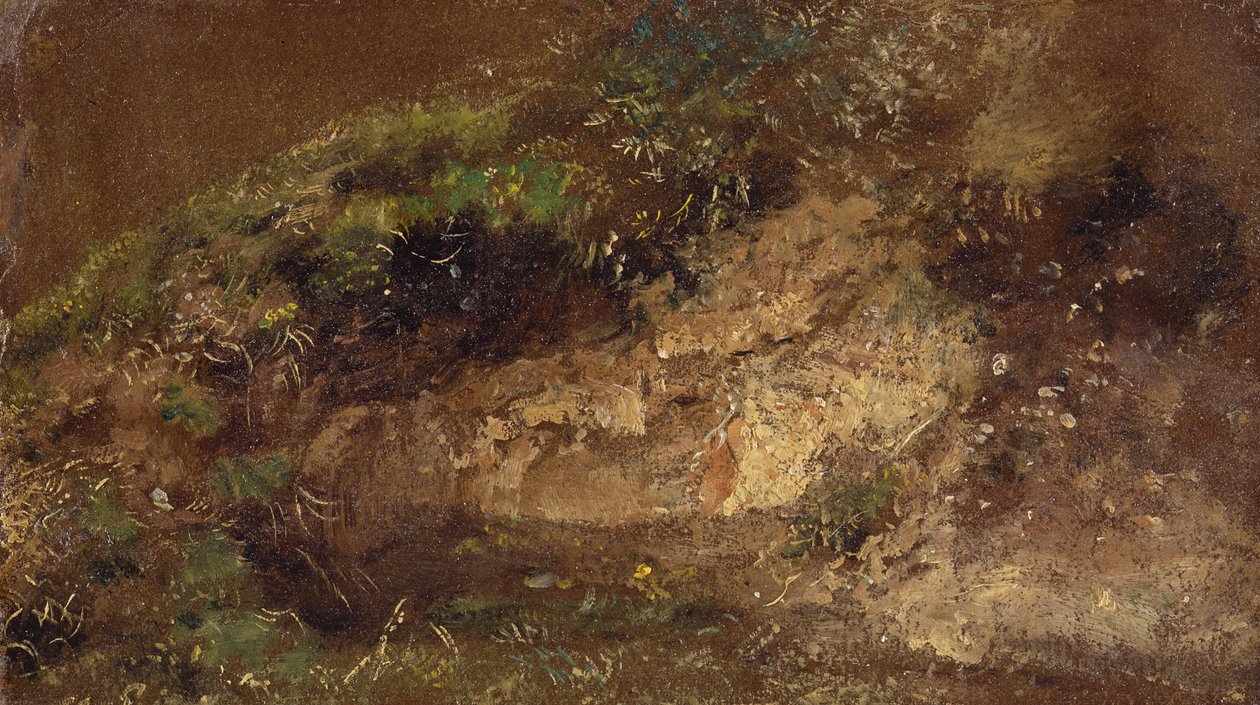 Undergrowth, c.1821 (óleo sobre papel a bordo) de John Constable