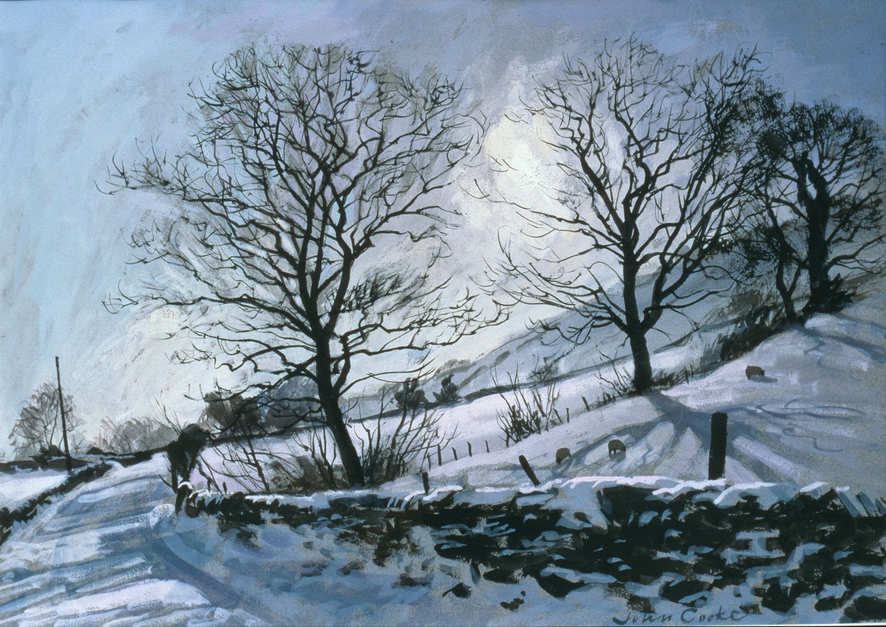 Tarde de Inverno em Dentdale de John Cooke