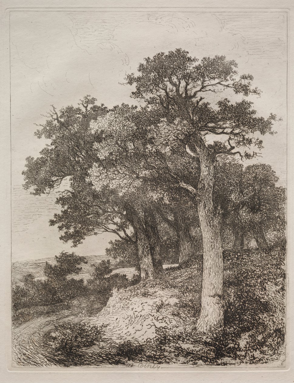 Em Colney. de John Crome