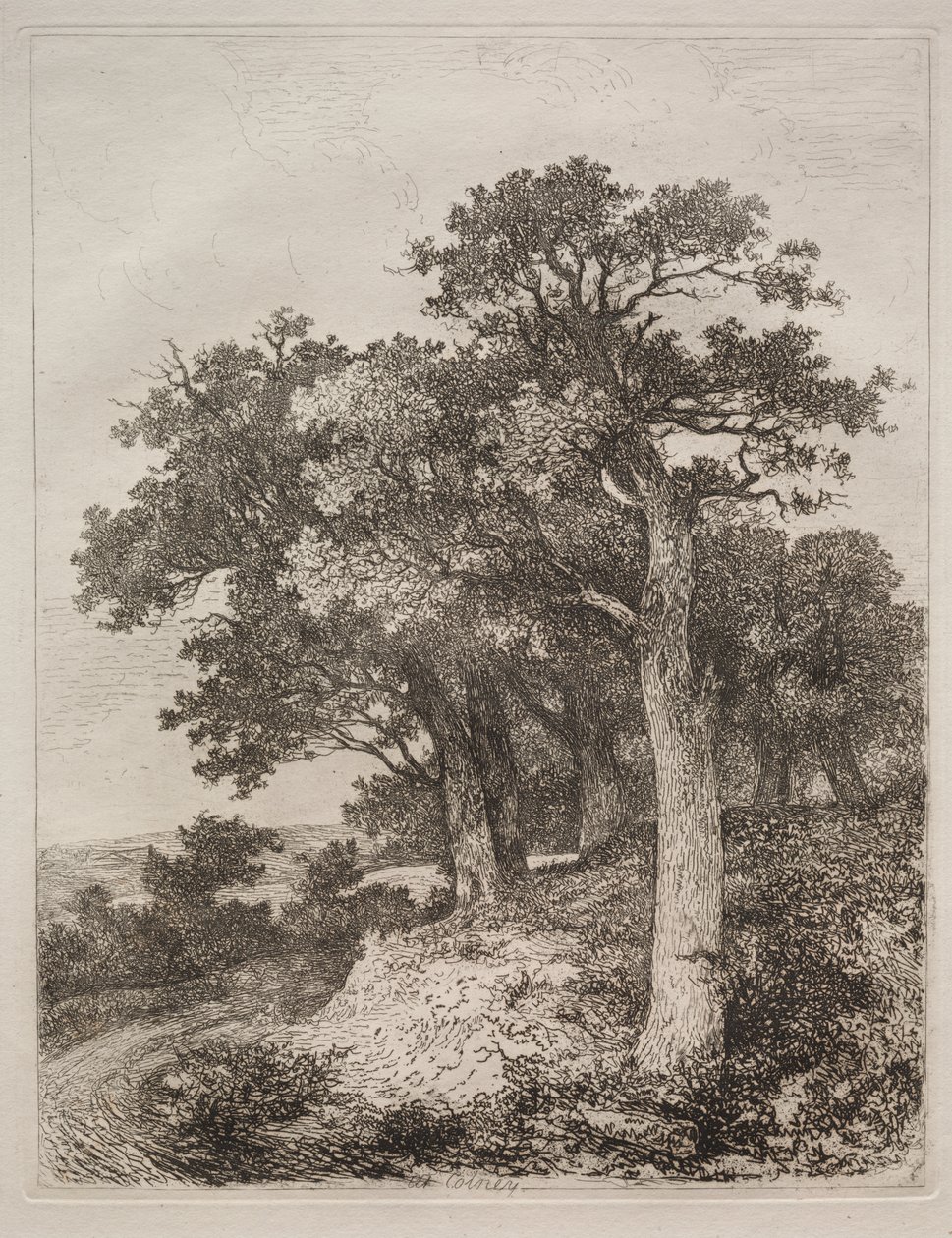 Em Colney de John Crome