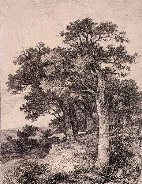Em Colney, pub. por J. & W. Freeman de John Crome