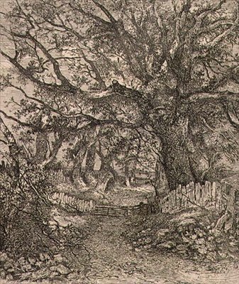 Em Trowse, pub. por J. & W. Freeman de John Crome