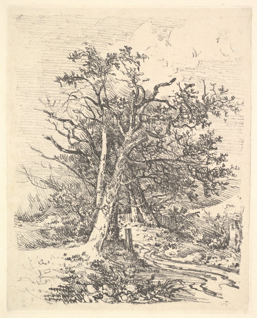 Troncos de árvore e pista, 1811-13. de John Crome
