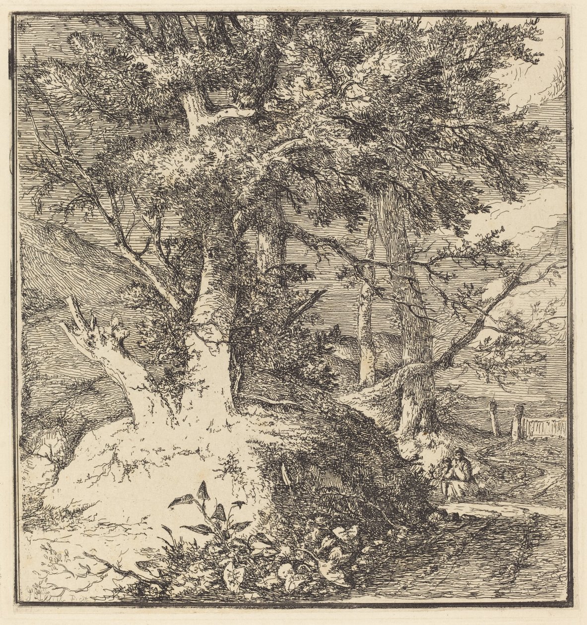 Árvore em um monte de John Crome