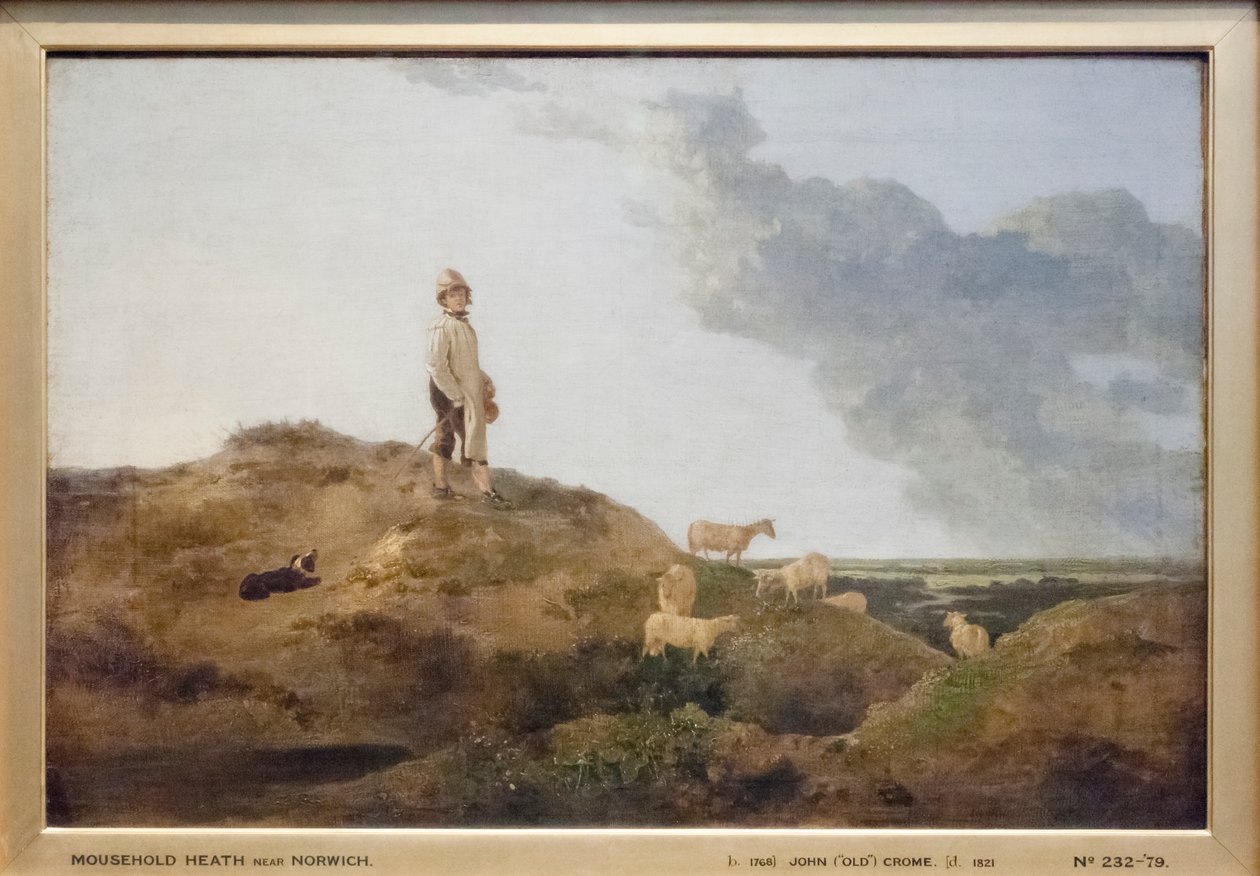 Vista de Mousehold Heath, perto de Norwich de John Crome