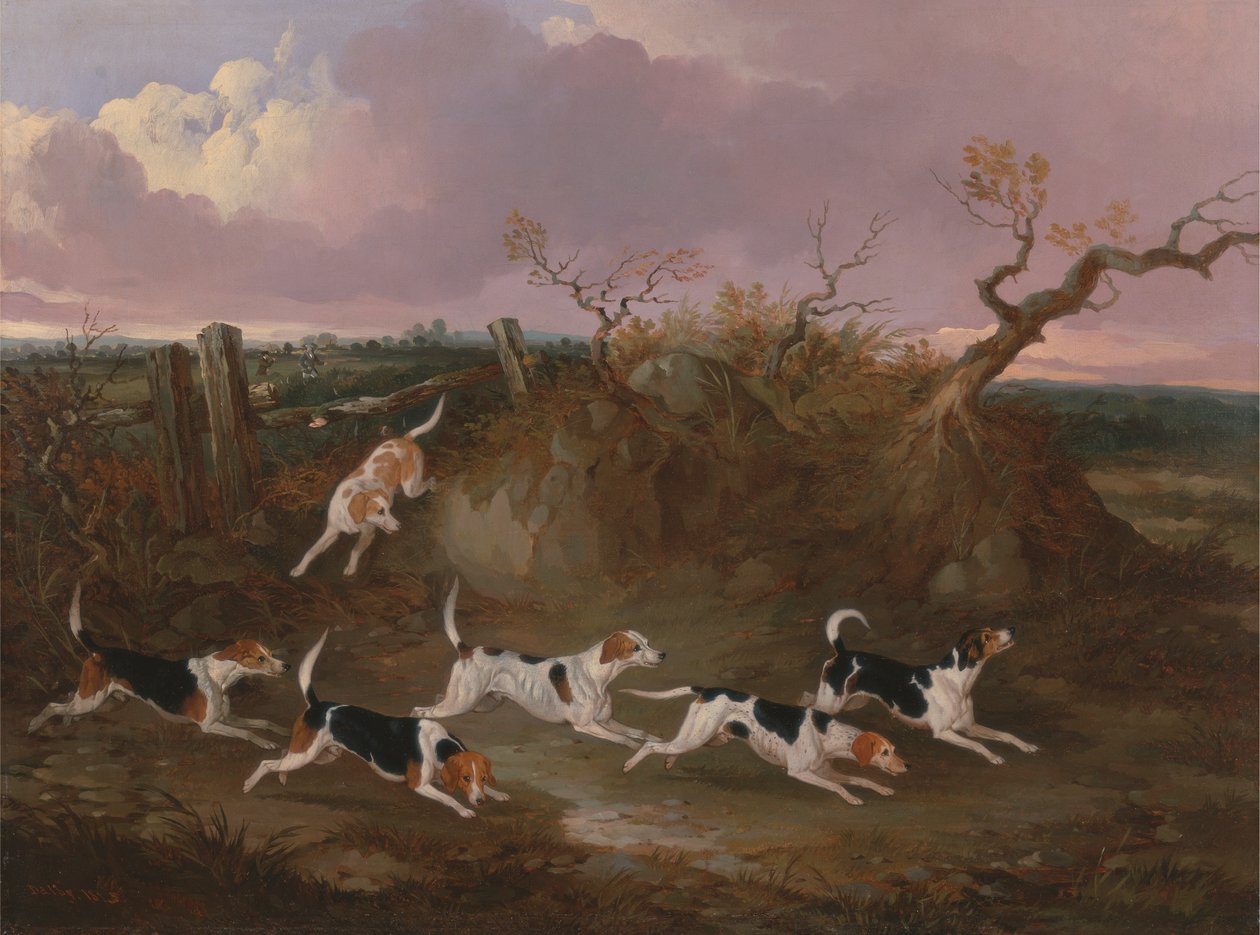 Beagles em Choro Completo de John Dalby