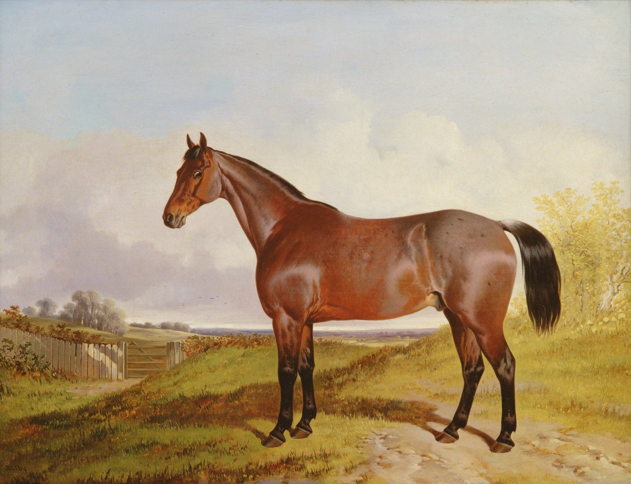 Estudo de um Bay Hunter em uma paisagem, 1854 de John Dalby