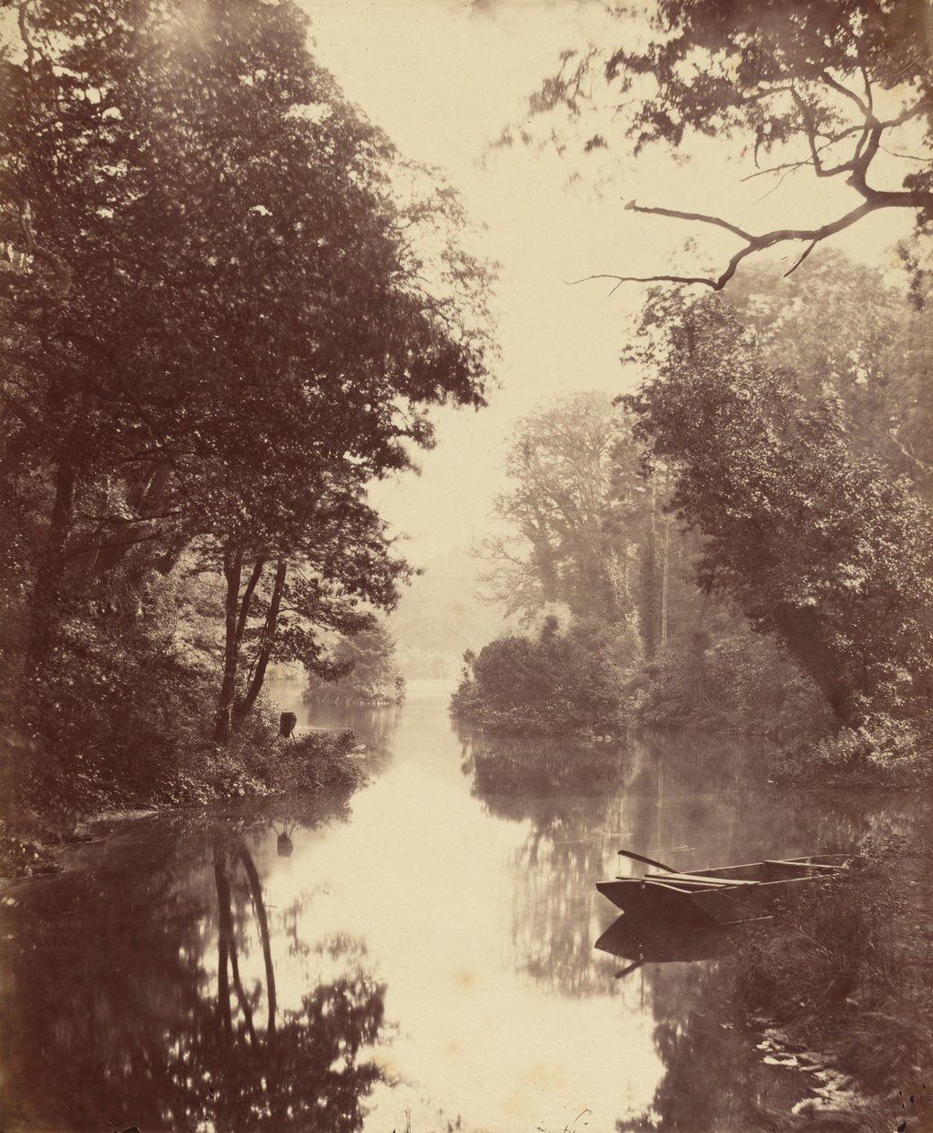 Uma noite de verão, Penllergare, 25 de agosto de John Dillwyn Llewelyn