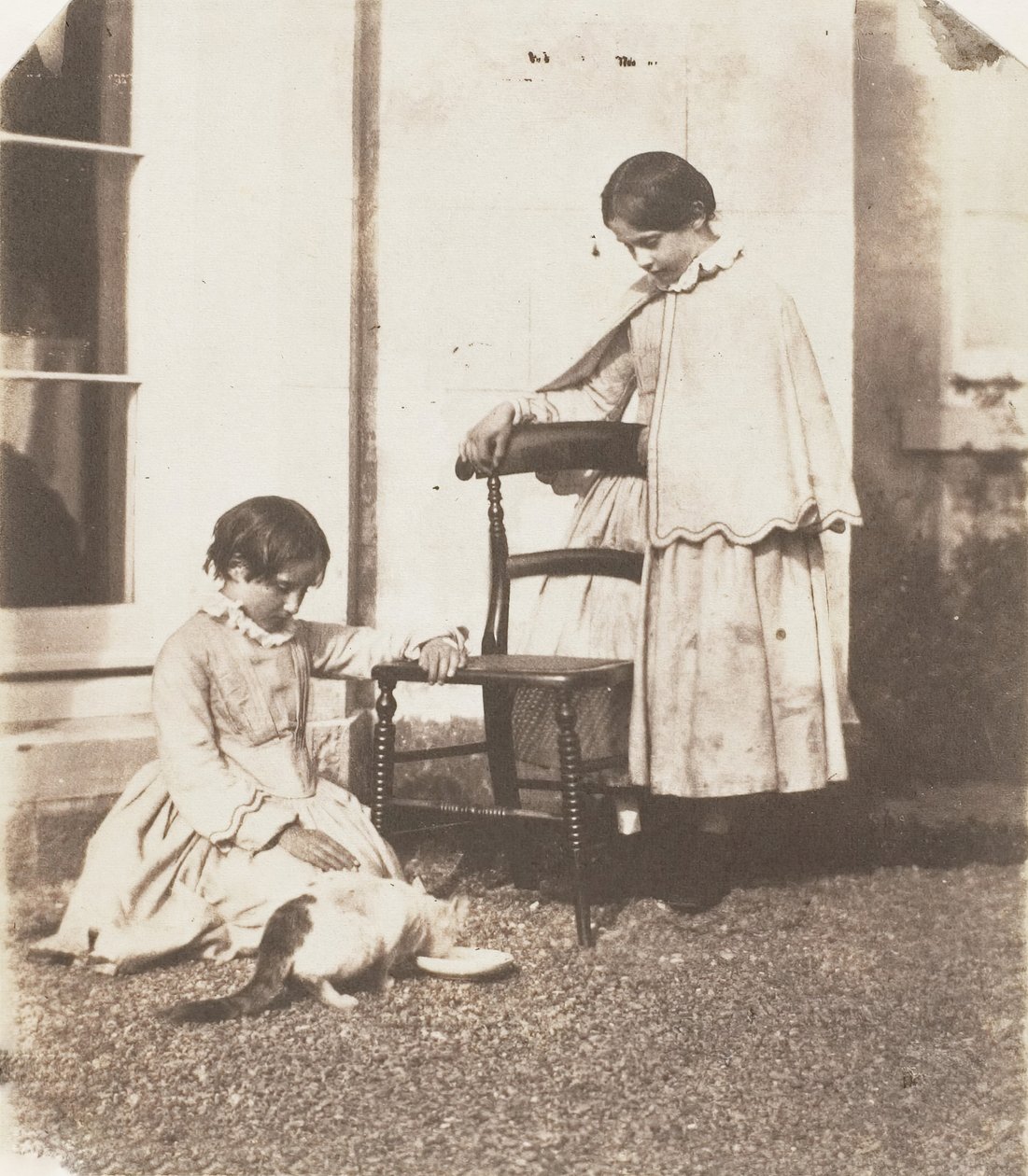 Feeding Poor Puss, 1853-56. de John Dillwyn Llewelyn